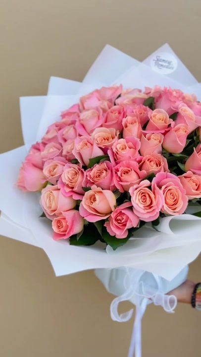 Peach Rose Rhapsody