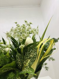 Green Magic with Vase