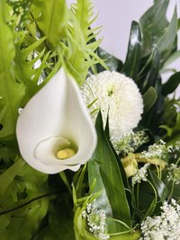 Green Magic with Vase