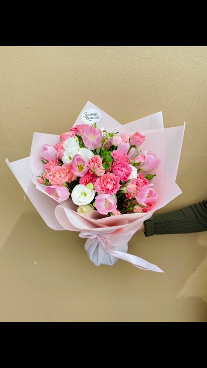 Pink Tulip Kiss