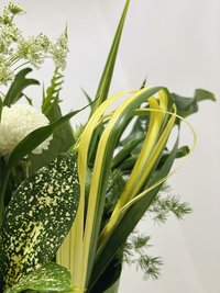 Green Magic with Vase