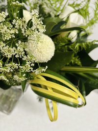 Green Magic with Vase