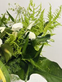 Green Magic with Vase