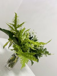 Green Magic with Vase