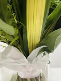 Green Magic with Vase