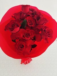 Bouquet of vibrant red roses wrapped in red paper
