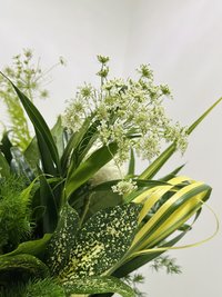 Green Magic with Vase
