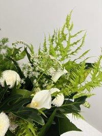 Green Magic with Vase
