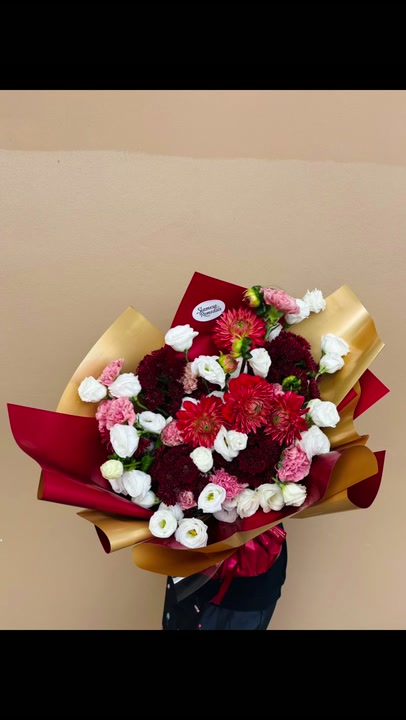 Red Dahlia