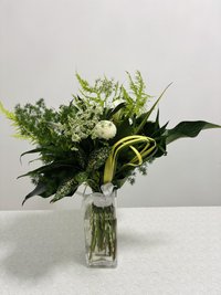 Green Magic with Vase
