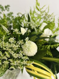 Green Magic with Vase